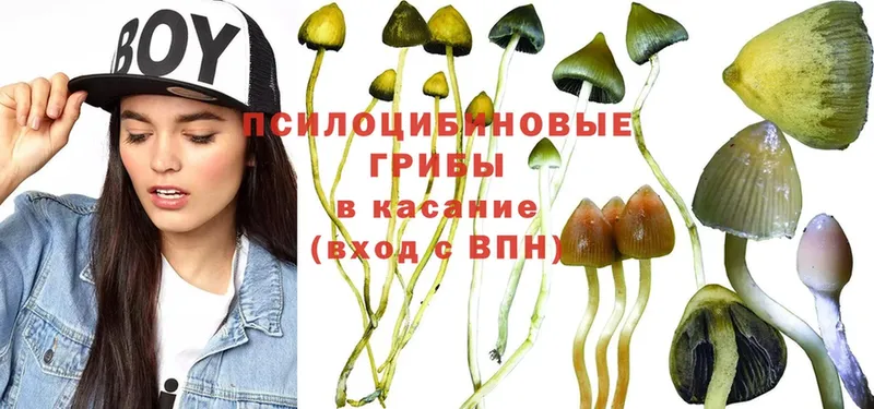 Псилоцибиновые грибы GOLDEN TEACHER  Куртамыш 